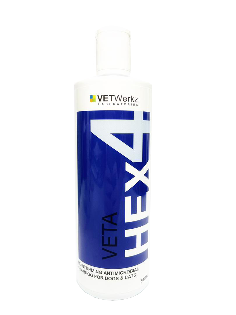 VETWerkz VETAHEX Antiseptic Moisturizing Shampoo for Dogs and Cats